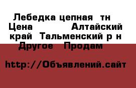 Лебедка цепная 3тн › Цена ­ 5 000 - Алтайский край, Тальменский р-н Другое » Продам   